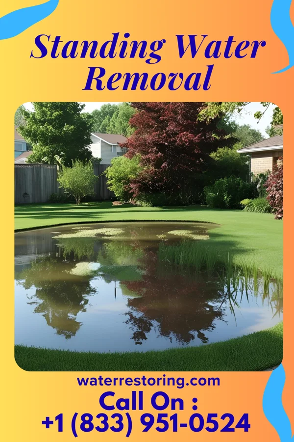 Standing Water Removal in Fair Oaks, VA